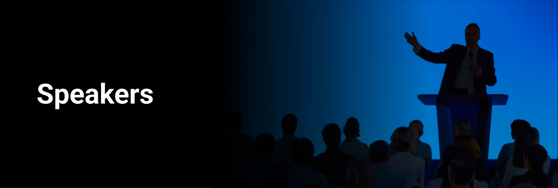 IMS - desktop banner